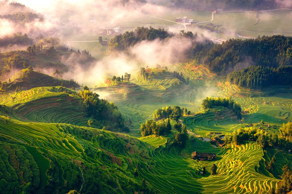04 Rice Terraces System in Southern Mountainous and Hilly … Flickr