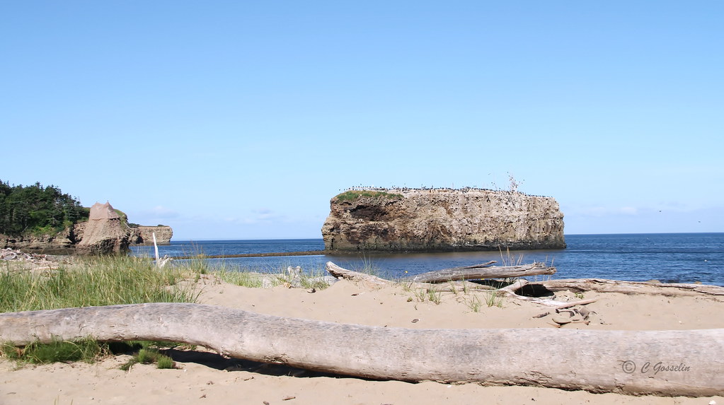 POKESHAW PROVINCIAL PARK GRANDE ANSE NEW BRUNSWICK C… Flickr