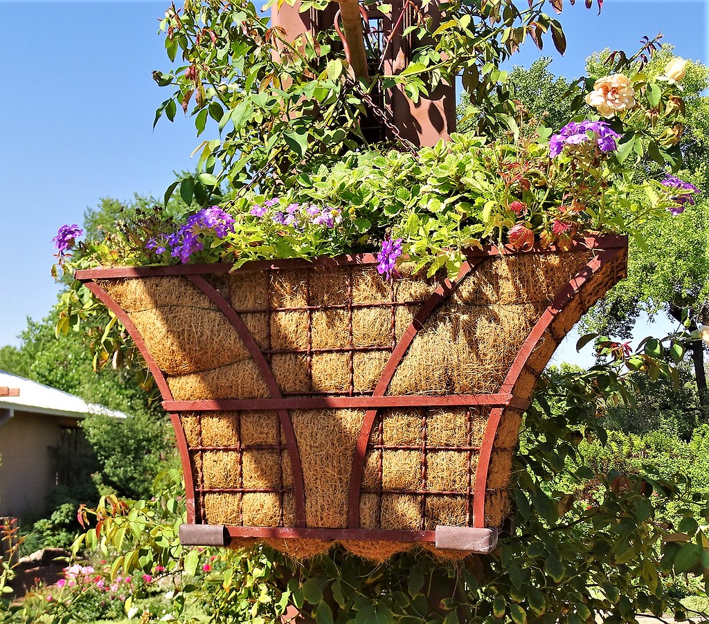 7271844, Unique Hanging Basket Steven K. Willard Flickr