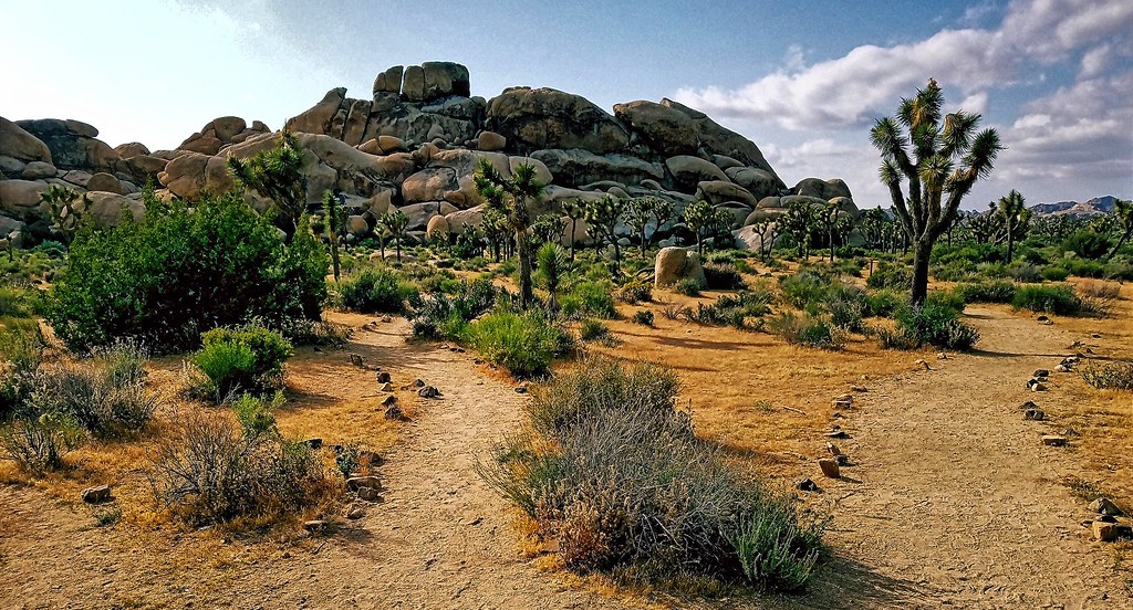 Hall of Horrors Joshua Tree National Park Riverside Coun… Flickr