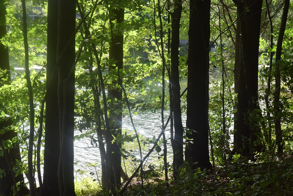 Hiram lake Rebecca LaPiana Flickr