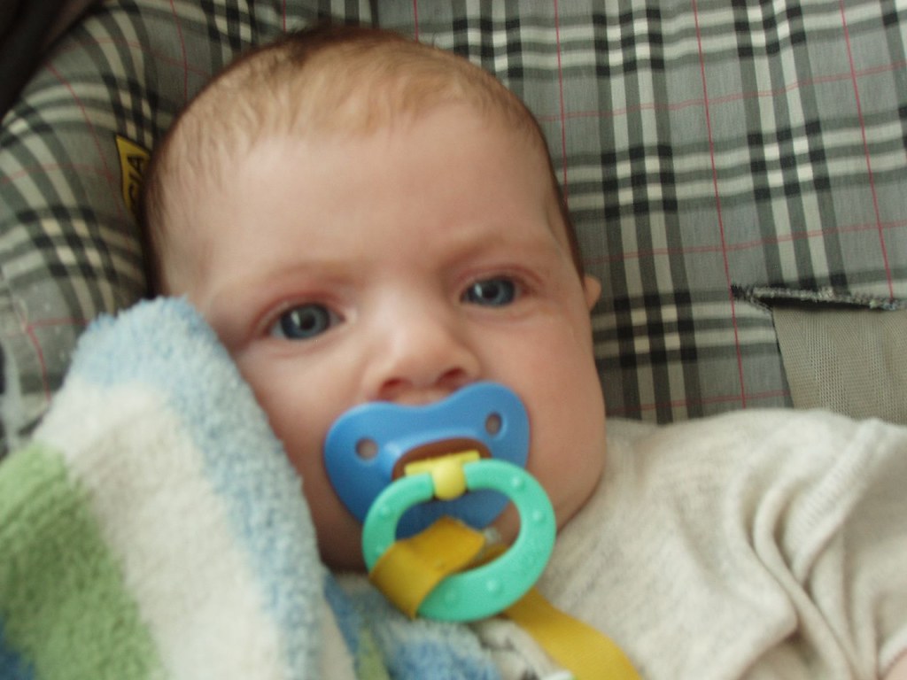 Niall with Binky a photo on Flickriver