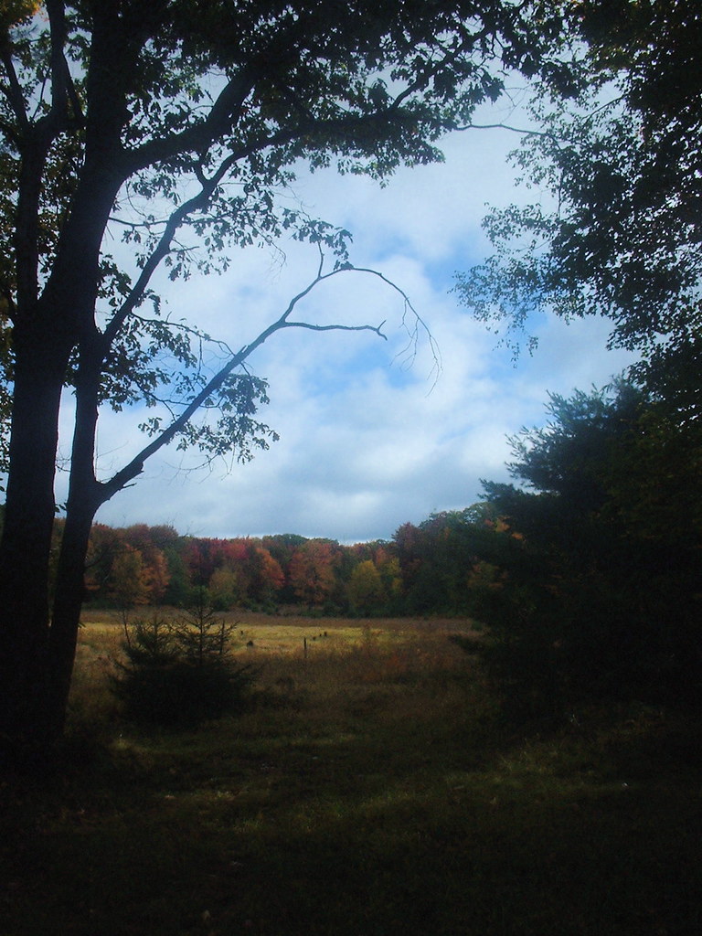 asaph PA It's a swamp!!!!!!!!!! Daniel Flickr