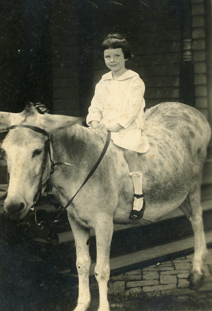 PC_1646_B4_F2_F From the Mary Virginia Sevier Papers, PC.1… State