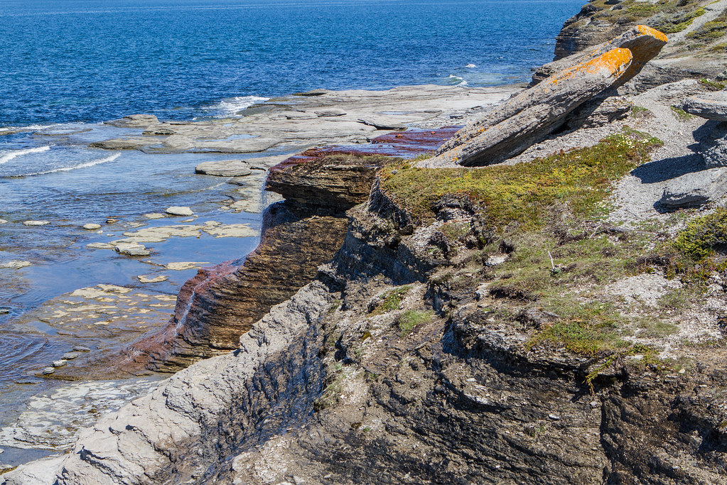 Sentier du Cap Ferre Along the coast east of HavreSaintP… Flickr