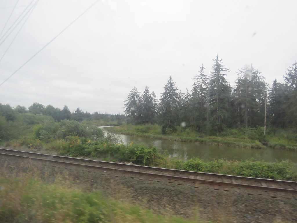 IMG_7084 Chehalis River Andy Nystrom Flickr