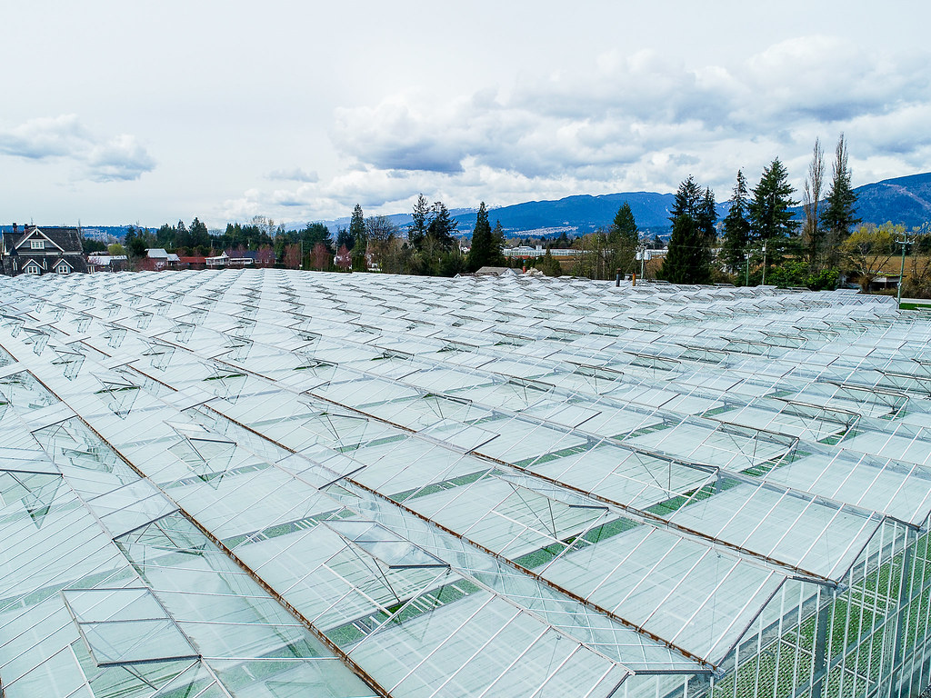 19014 Old Dewdney Trunk Road, Pitt Meadows83 19014 Old De… Flickr