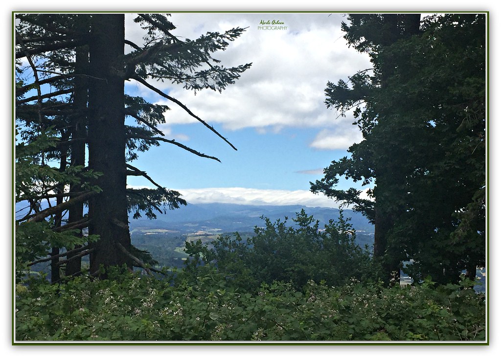 on top of the world! This is Bald Peak, one of Oregon's St… Flickr