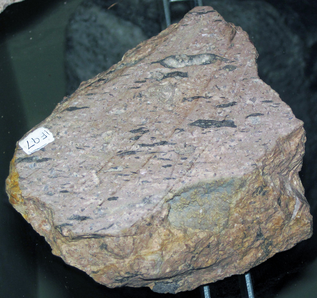 Welded tuff (western USA) (public display, Geology Departm… Flickr