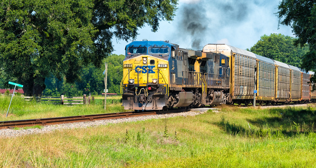 Iron City, GA X220. Paul Fretts Flickr