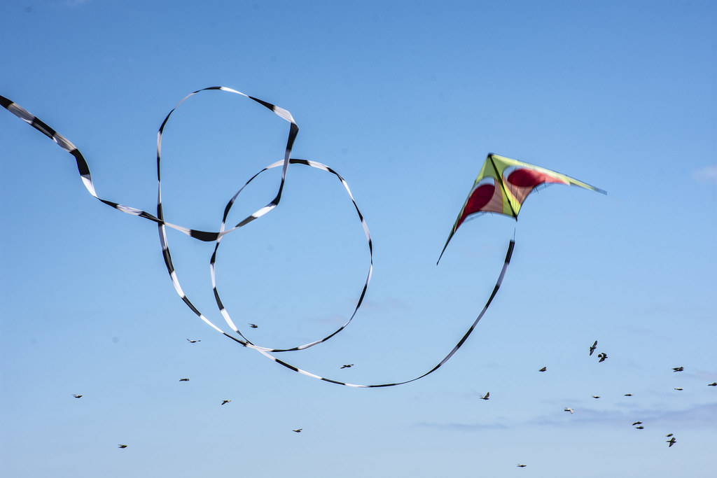 Flying kites in Victoria, BC Jan Mosimann Flickr
