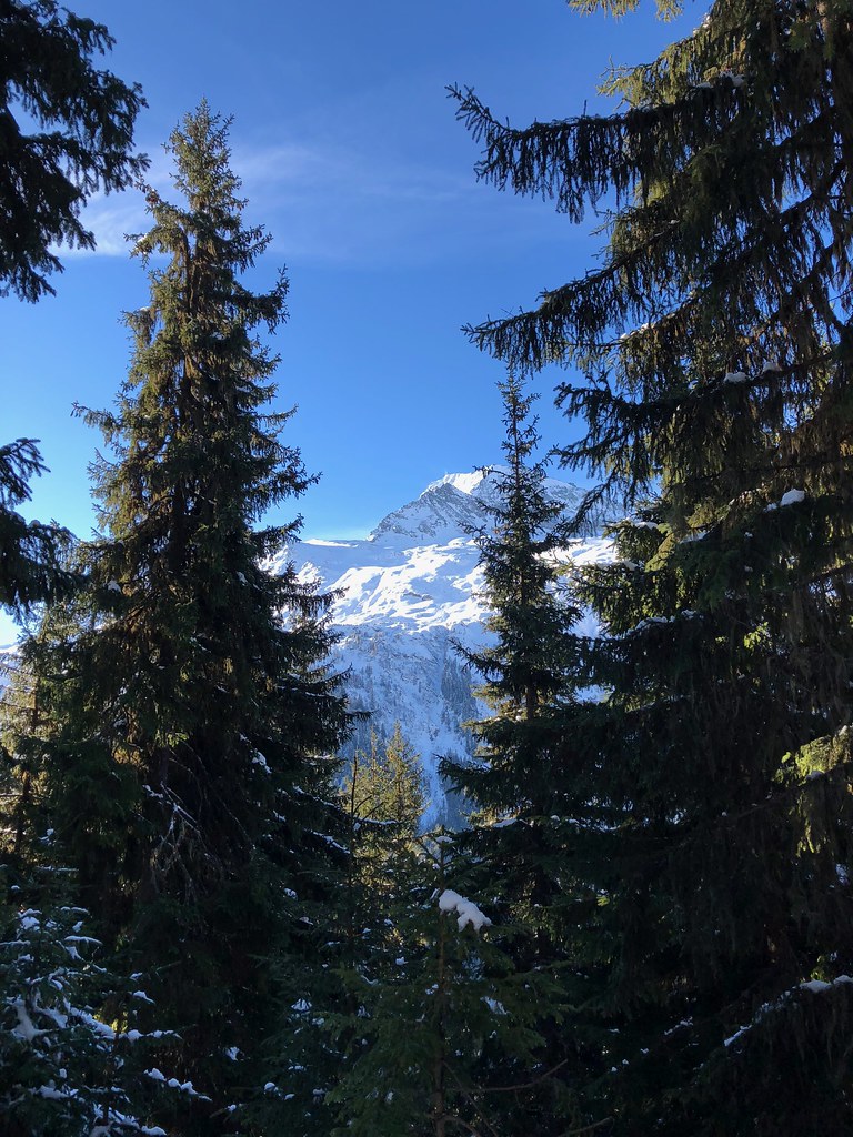 Untitled Natalie GiffordGroves Flickr