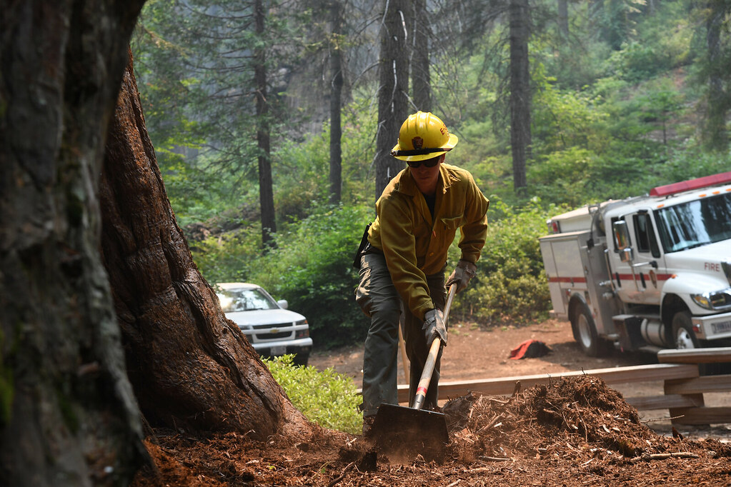 NPS Firefighter Merced Grove, Yosemite NP A wildland firef… Flickr