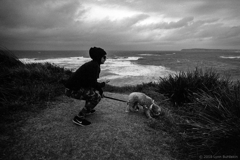 walking the dog, Sydney 2018 578 Walking the dog, Sydney … Flickr