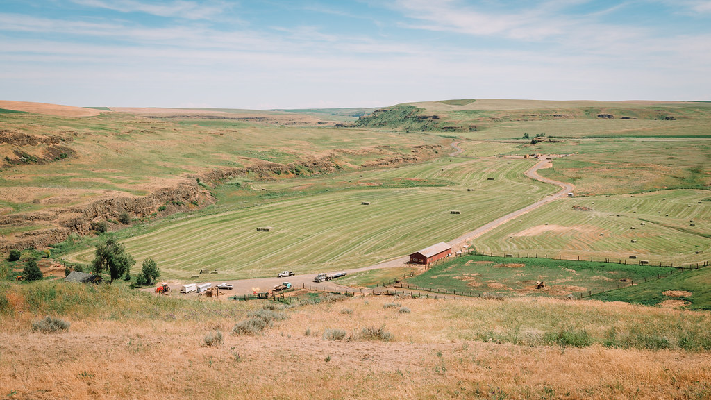 Farm Whitman County, Washington Pedalhead'71 Flickr