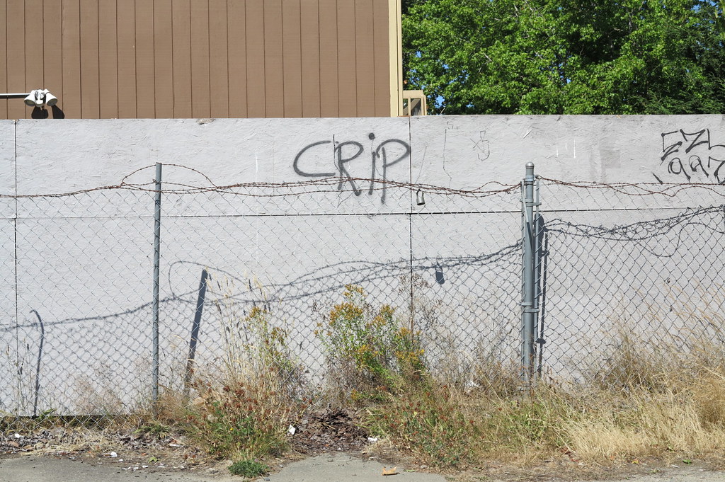 CRIPS WA. Brad Flickr