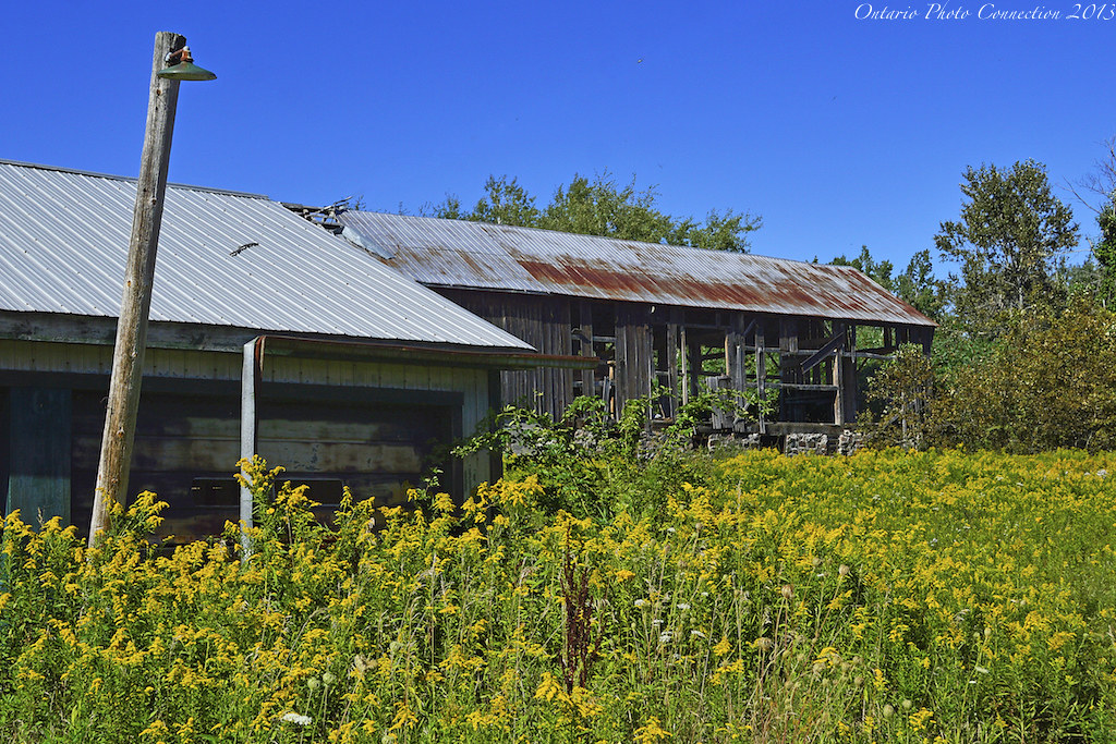 5620 Wesleyville Ontario 2014 ontario photo connection Flickr