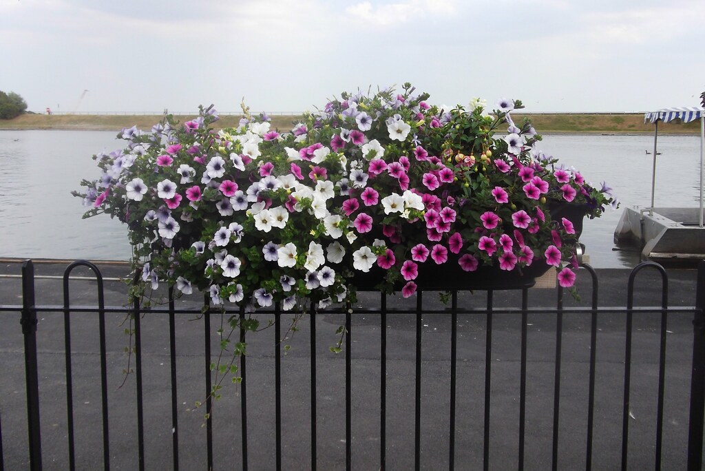 Flower Baskets, Fairhaven Lake, Lytham Robert Wade (Wadey) Flickr