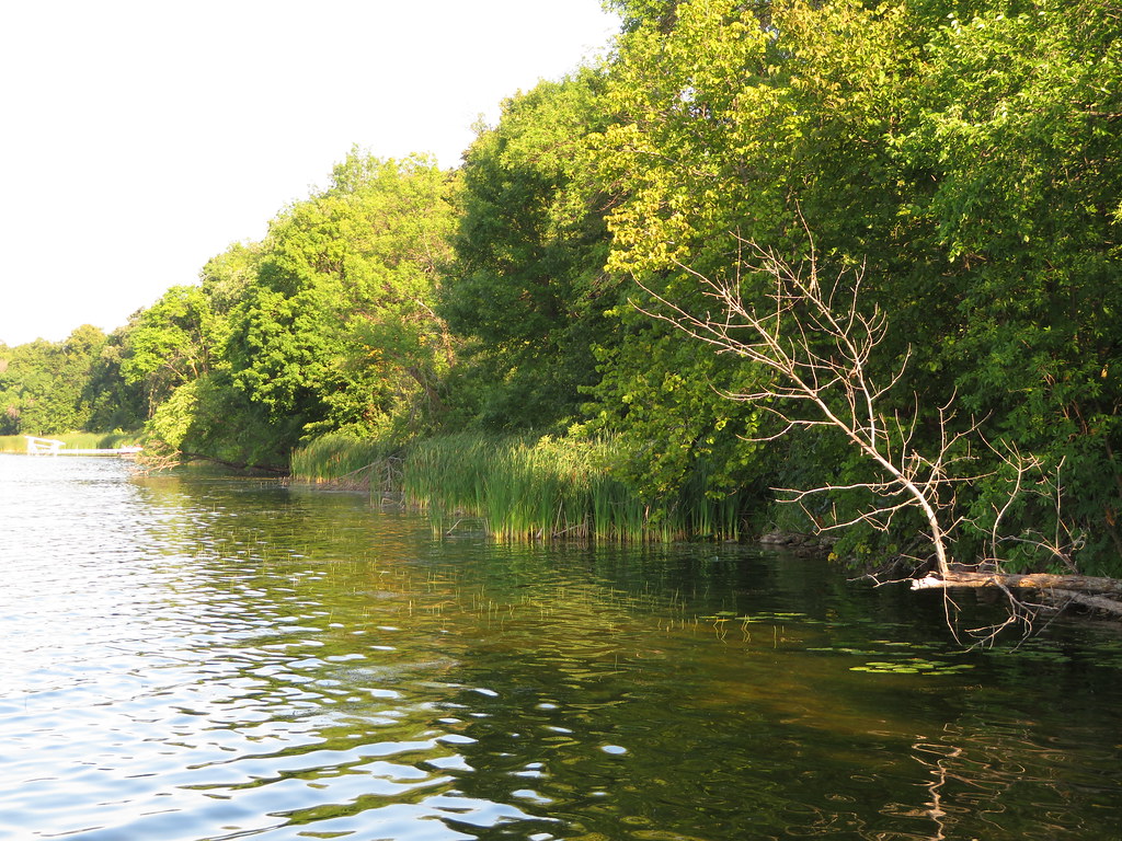 Lake Homes For Sale Dead Lake Mn at Christina Barth blog