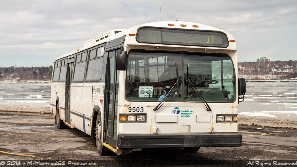 Société de Transport de Lévis 9503 Flickr