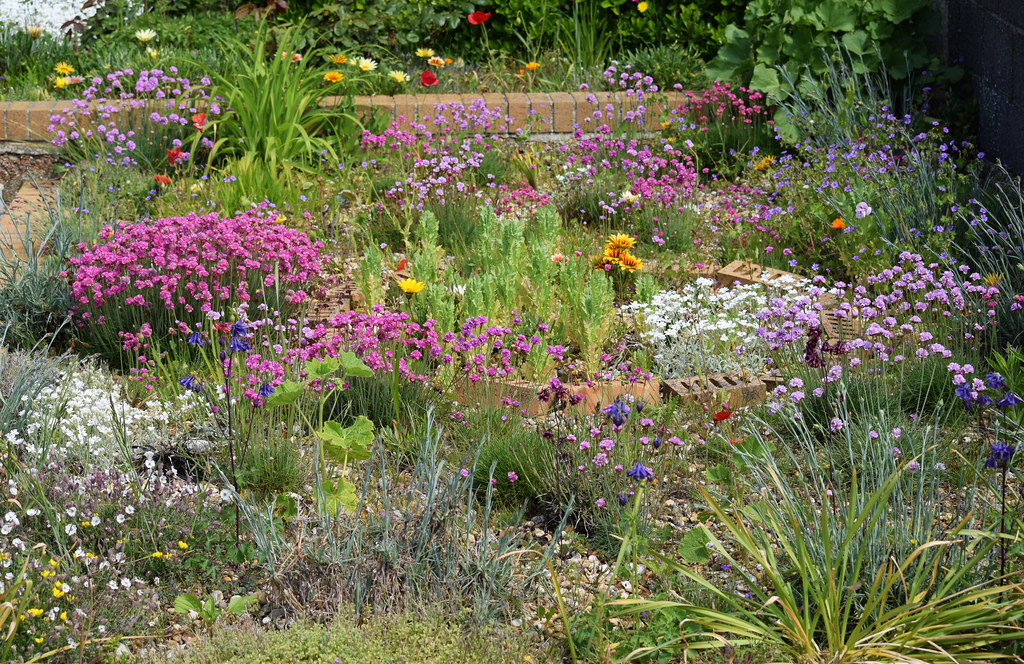Hayling Island Coastal Garden Mark Flickr