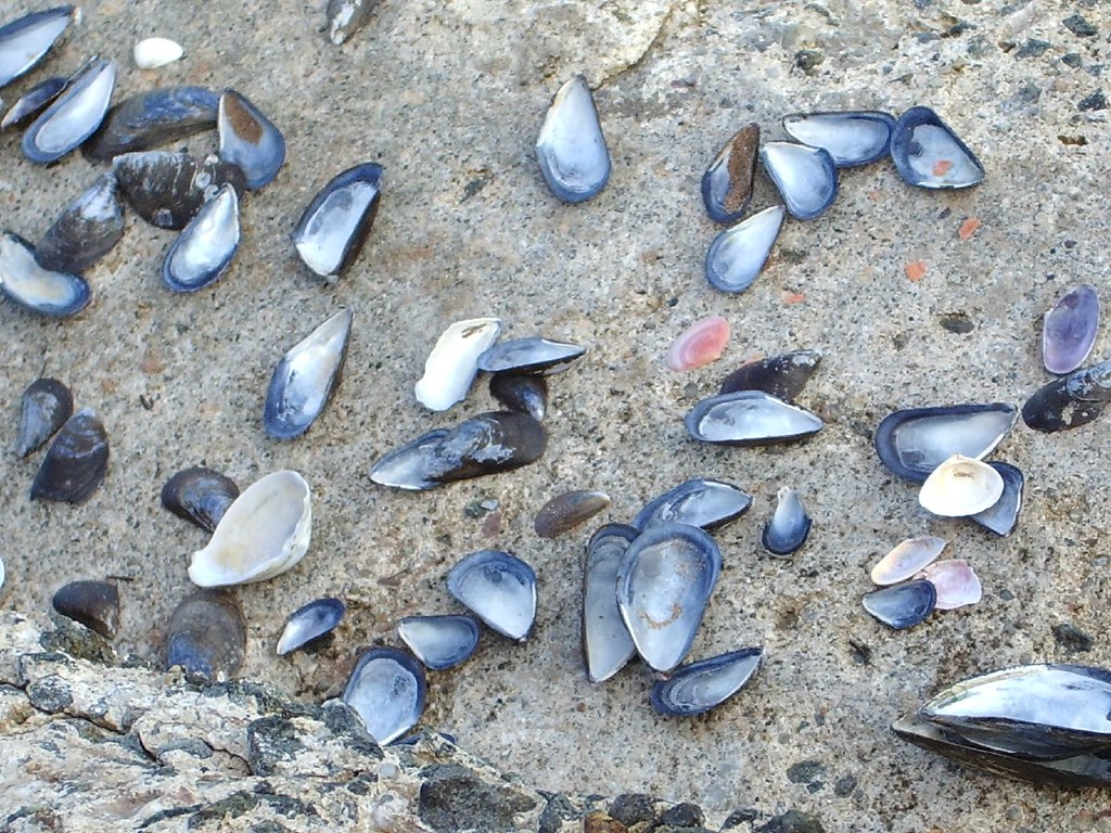 IMGP1594 Richard Kendall Flickr