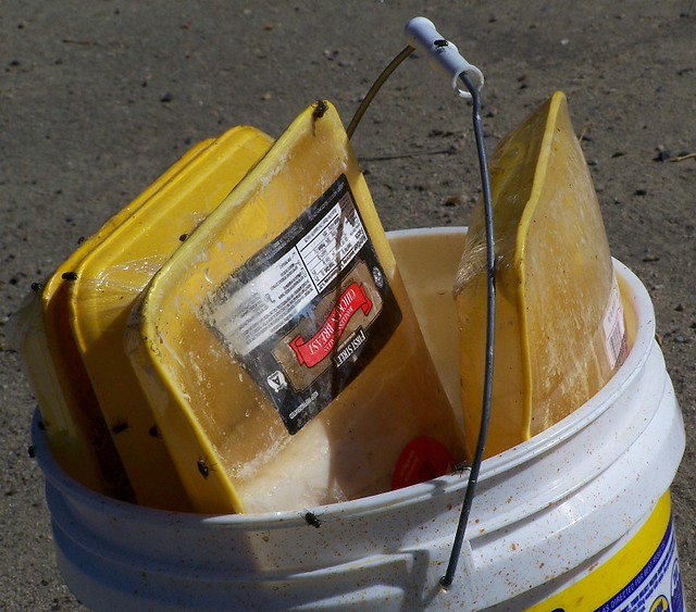 roadside bucket of meat a photo on Flickriver