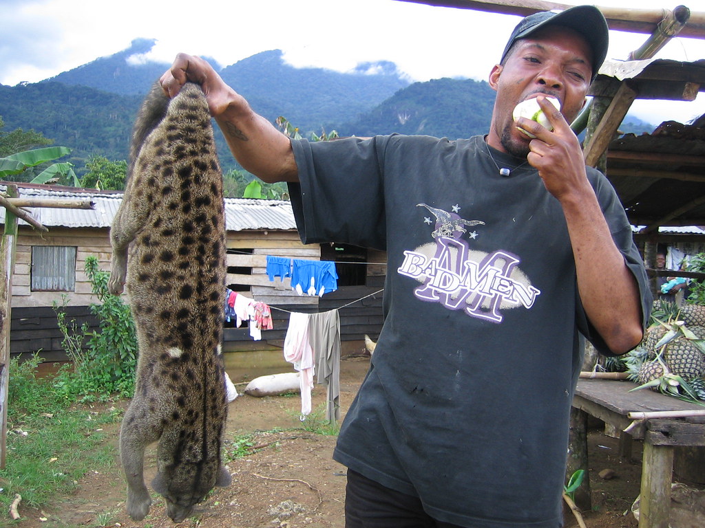 Bush cat Some bush meat for sale at a toll stop. This one … Flickr