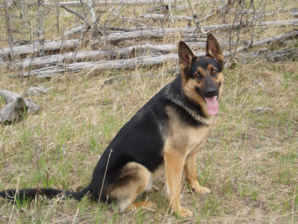 Untitled Chance Everett Flickr