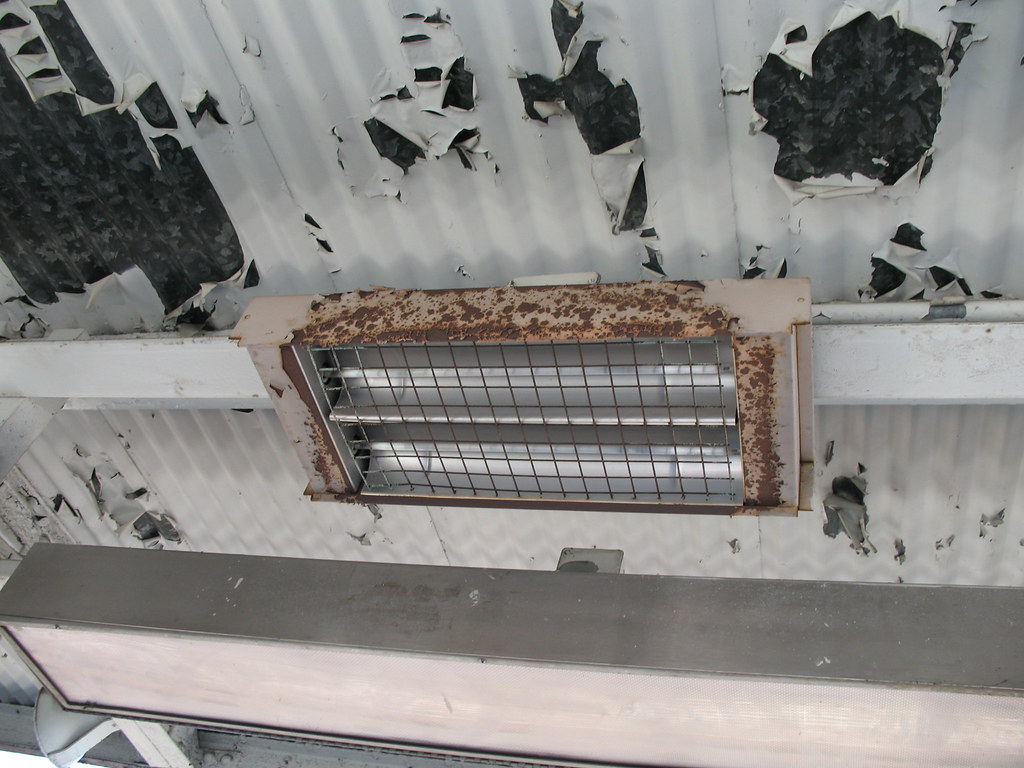 modernity needed "Lead Paint Delicious But Deadly" TheeErin Flickr