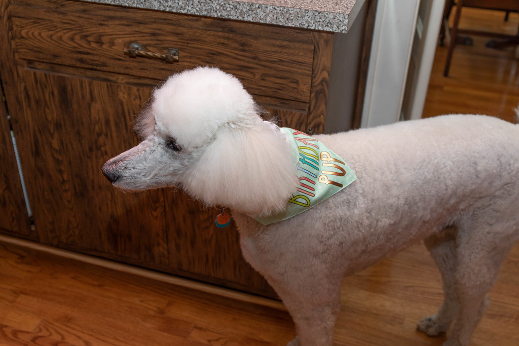 20180725492A2151 Jamie Sanders Flickr