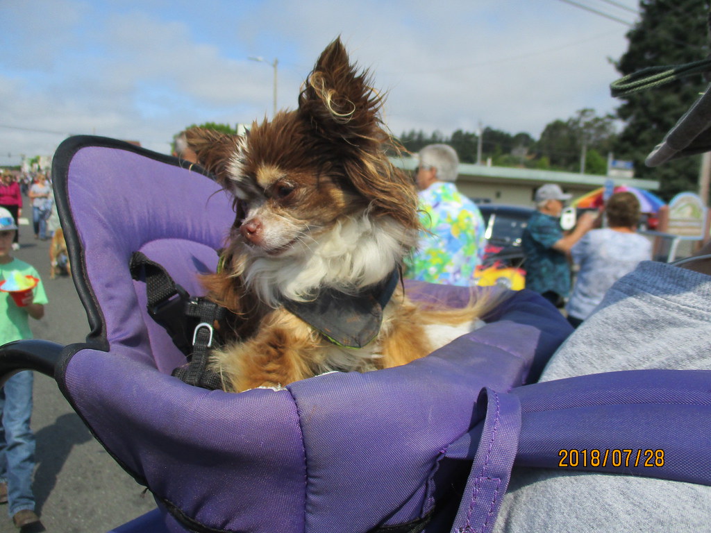 Fortuna Car Show 72818 229 Craig Owens55 Flickr