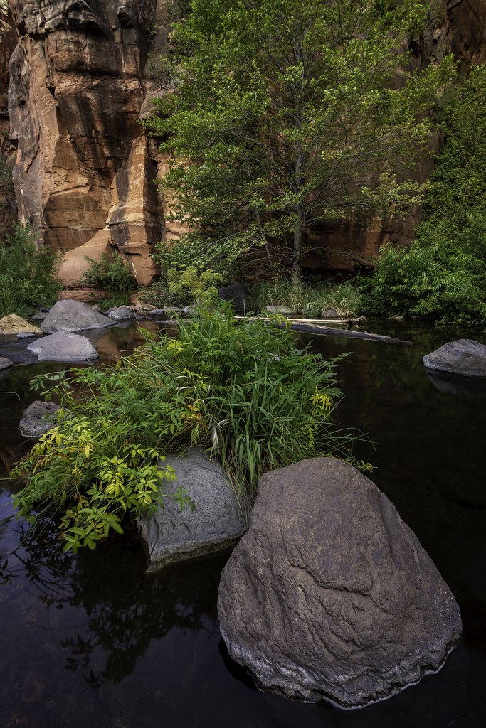 Sedona Rocks Along Oak Creek in Sedona, Arizona Jackie Cavanagh