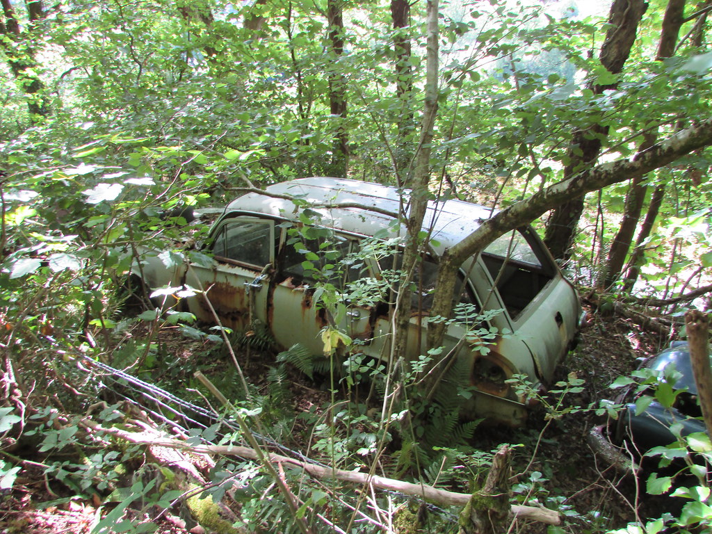 Abandoned Cars in the Woods. Vauxhall Victor Estate. There… Flickr