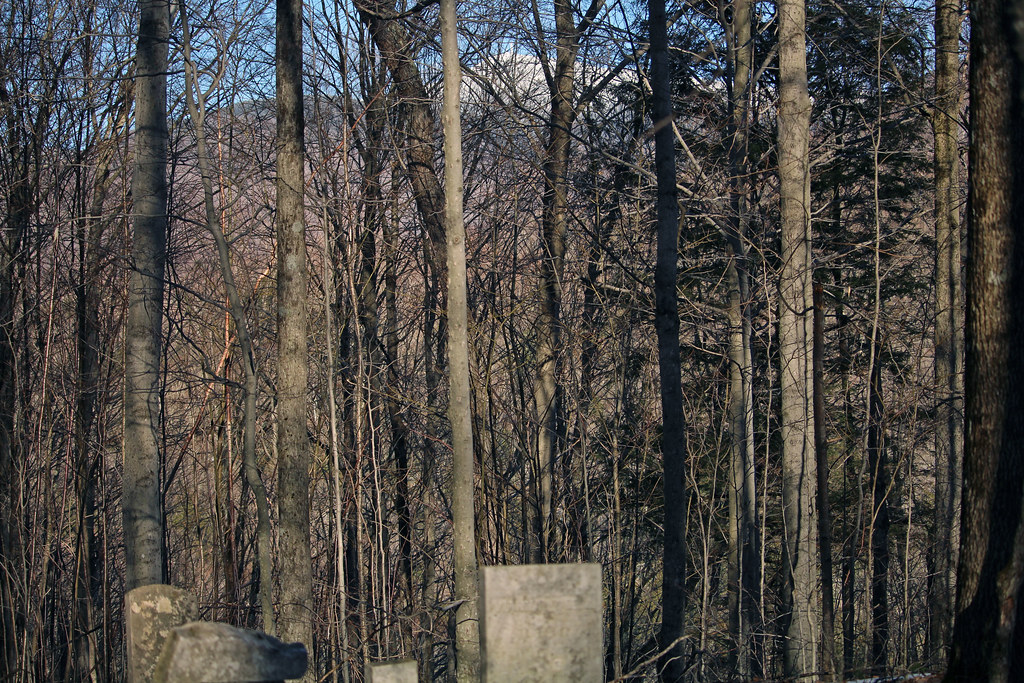 Mendon, Vermont 4/21/18 Graves of early Vermont settlers… Flickr