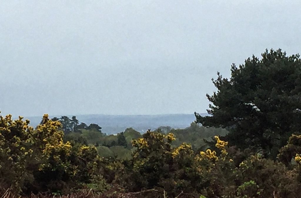 365_12030April18 Ashdown Forest A lot of driving today, s… Flickr