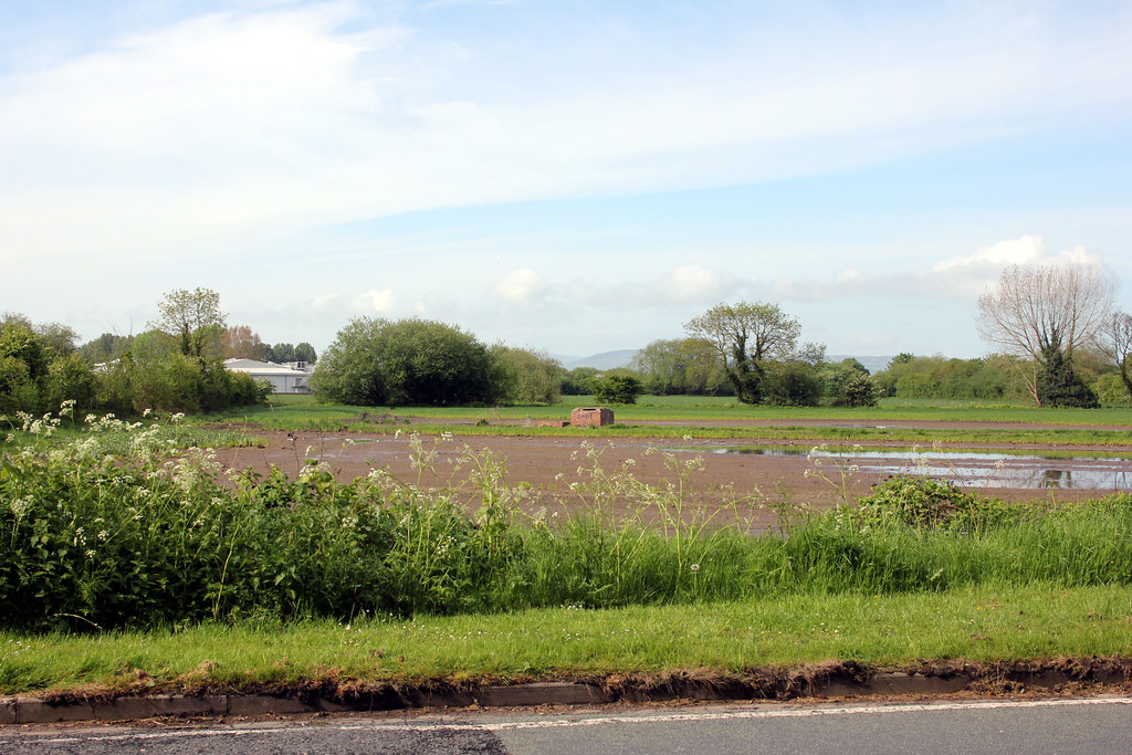 Blacon. Saughall road. boneytongue Flickr