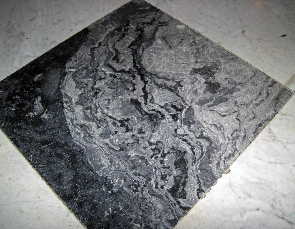 Fossil mound in limestone (Champlain Black Marble) (Crown Point Limestone, Middle Ordovician
