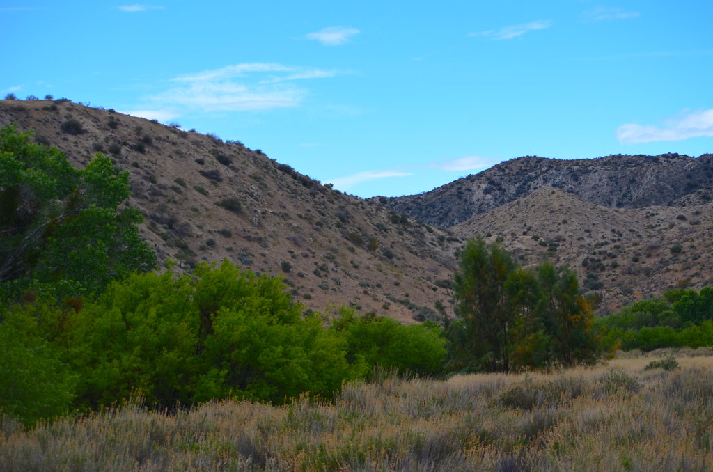 Big Morongo Canyon Preserve Morongo Valley, California Flickr