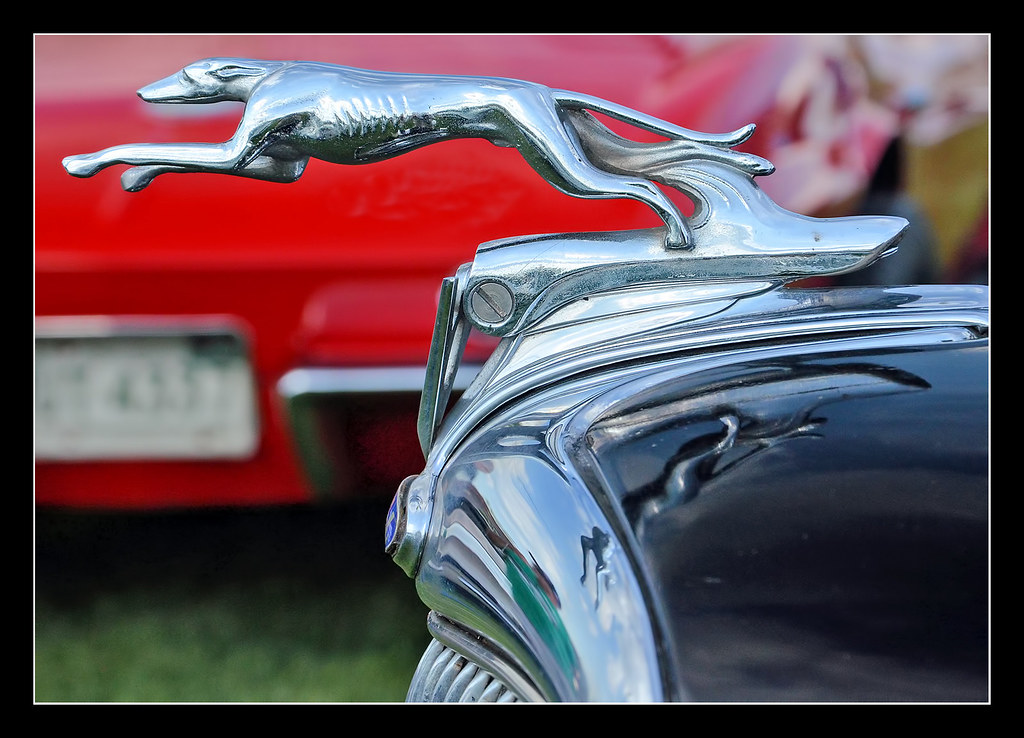 Did Ford Have A Greyhound Hood Ornament
