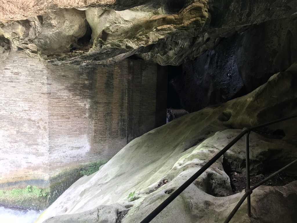 IMG_2987 Scott Hill Flickr