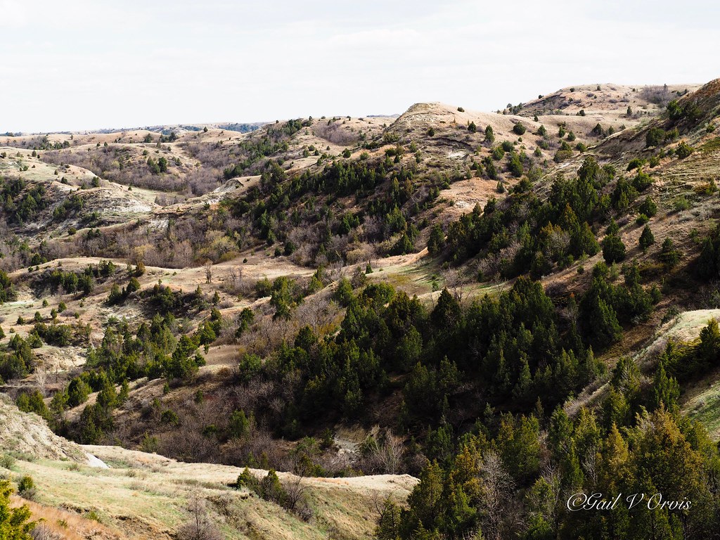 Hills of North Dakota near Watford City, ND Flickr