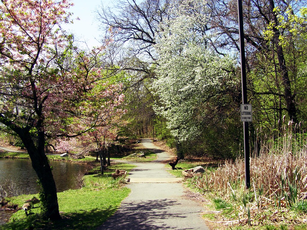 Fellsmere Pond Marissa Babin Flickr