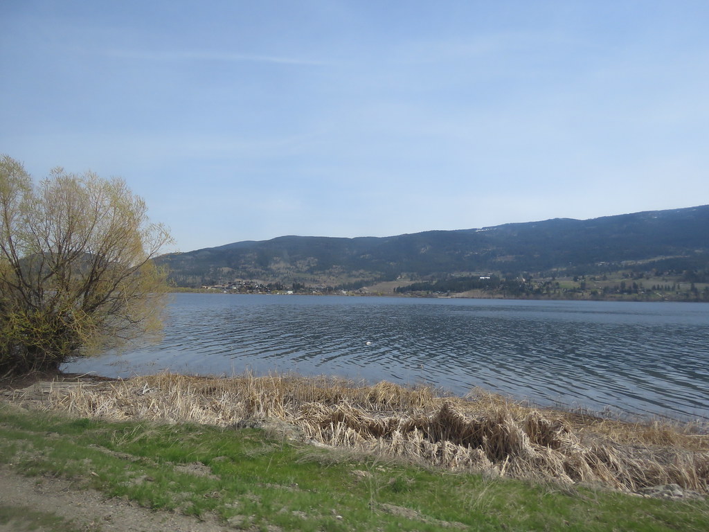 IMG_8976 Wood Lake Andy Nystrom Flickr