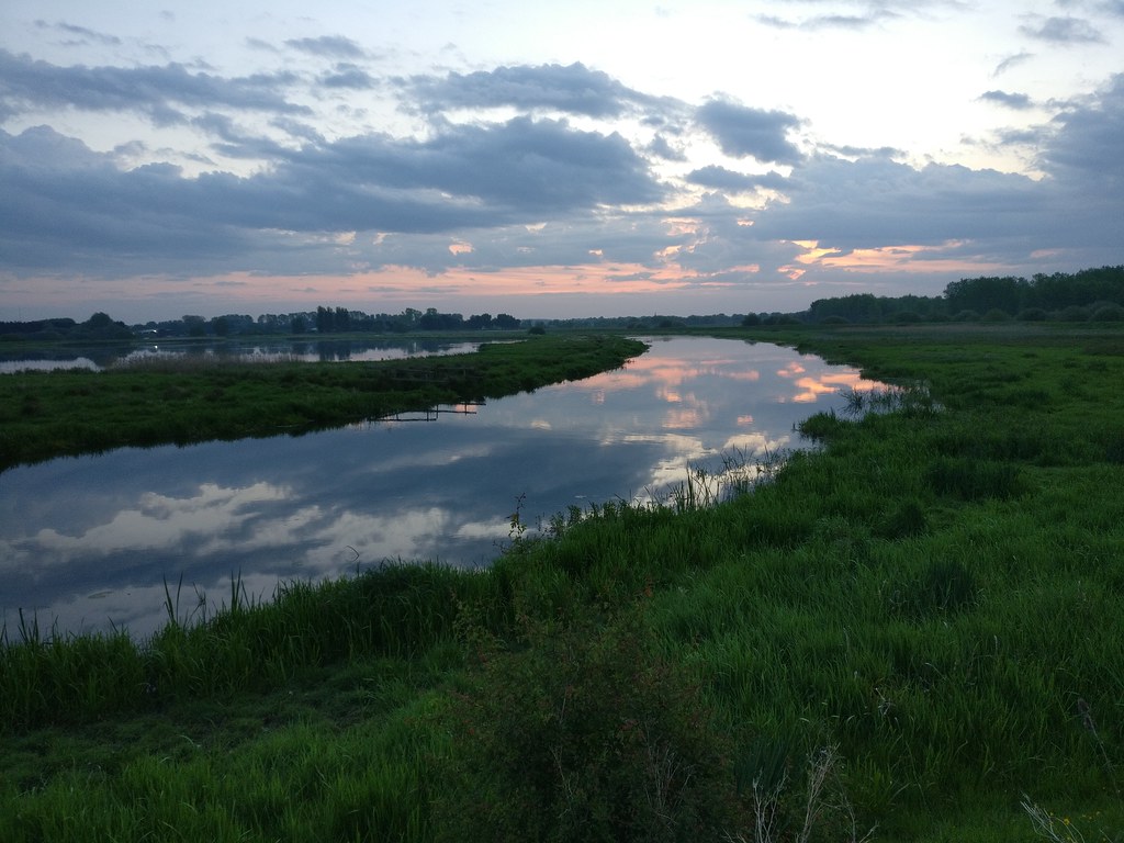 Lakenheath Lakenheath RSPB, Suffolk May 2018 Mark Hows Flickr