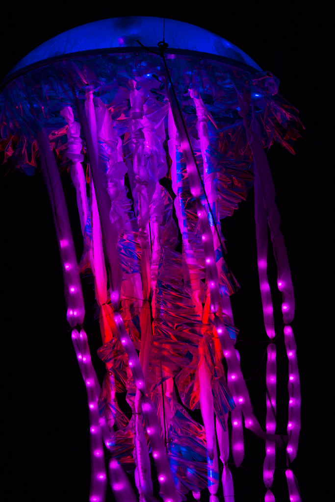 Lux Light Festival Wellington, NZ andy Flickr