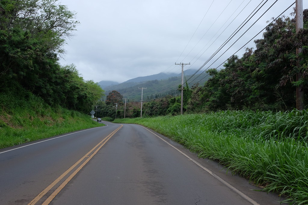 Green time, Maui, Hawaii, April’18 vlas.khilkevich Flickr