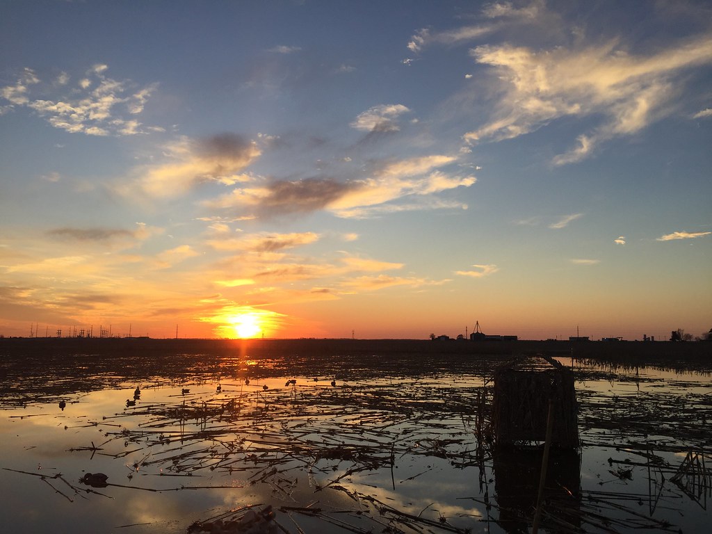 Last light in Gillett, AR. Winter 2017 robert dudley Flickr