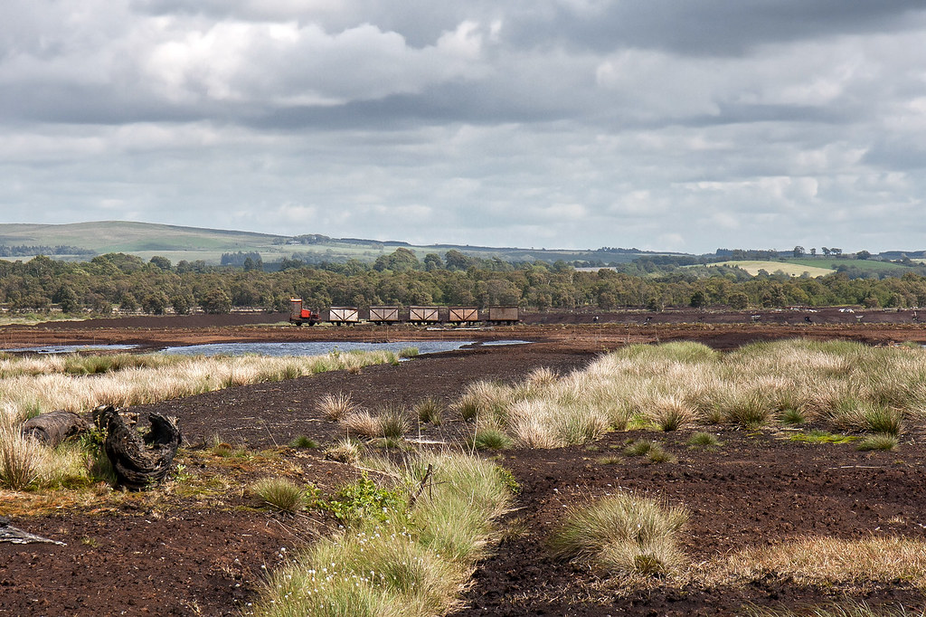 Bolton Fell a photo on Flickriver