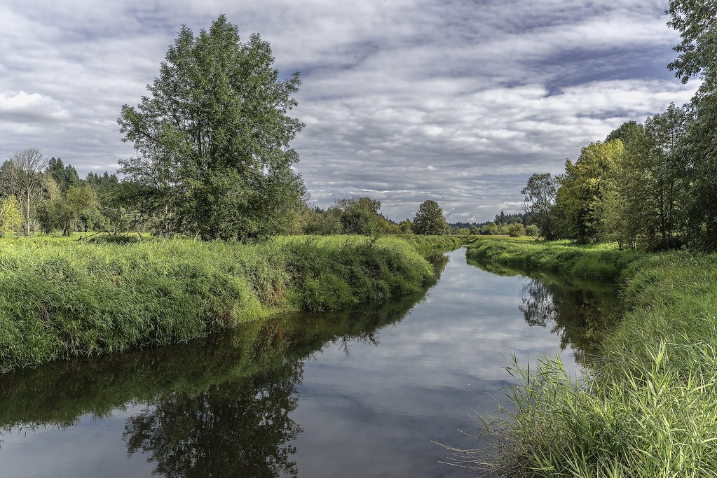 Salmon Creek Salmon Creek Park Vancouver, Washington DL Photo Flickr